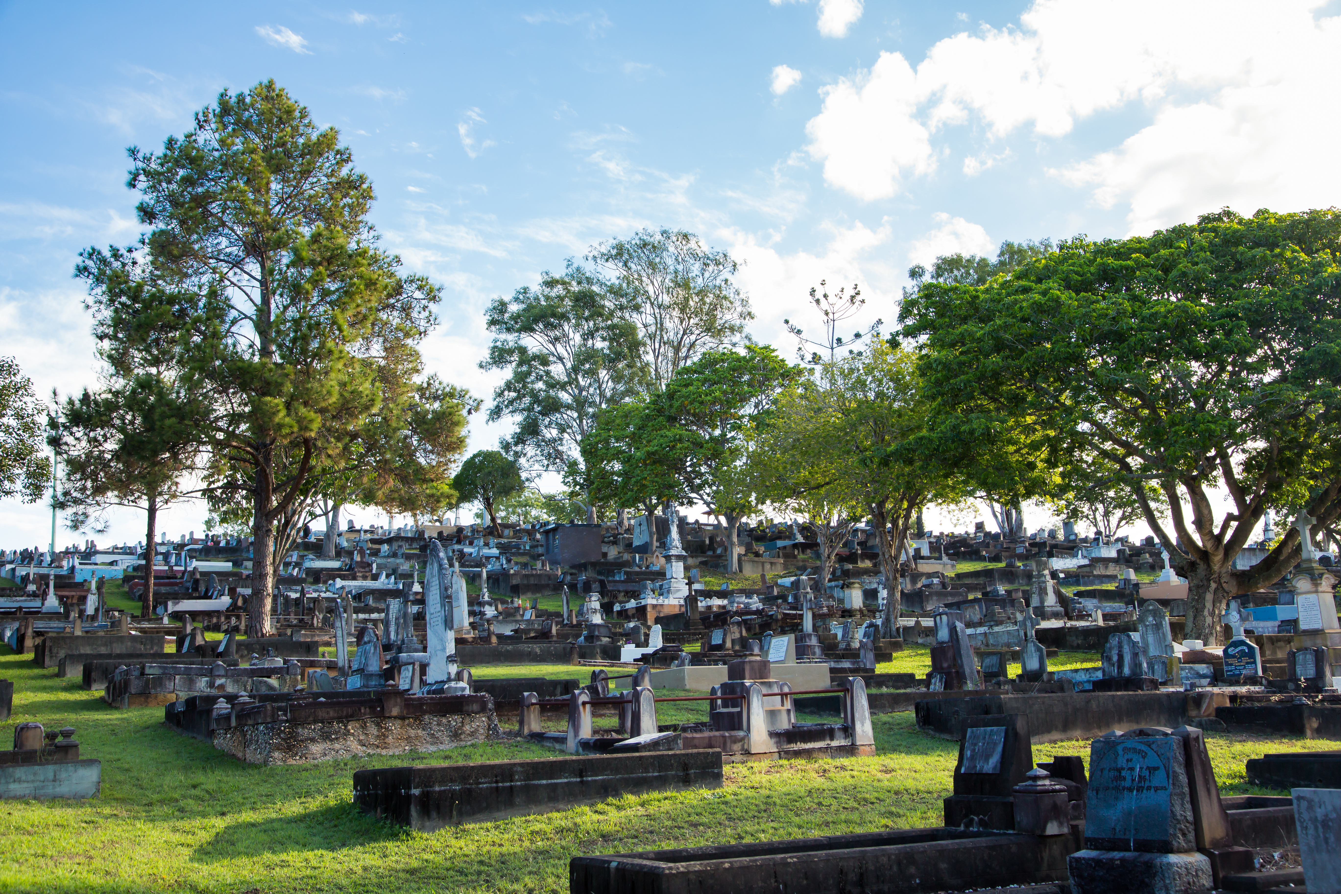 This is an image of Balmoral Cemetery showing headstones and trees.