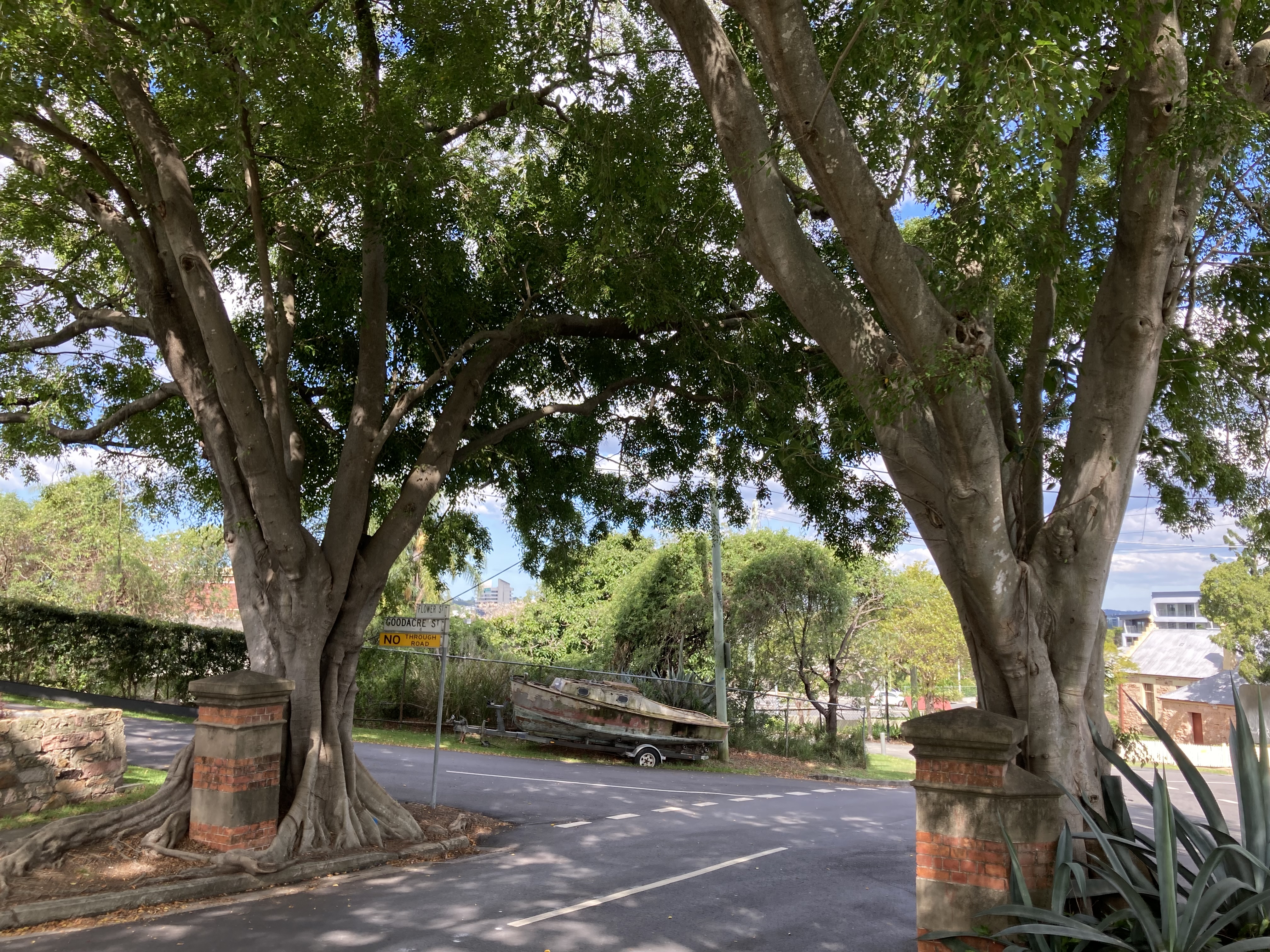 A bitumen road, with a pair of brick and concrete gate posts either side of the road. Two matching fig trees have grown around the gate posts. Road signs reading "Flower St", "Goodacre St" and "No Through Road" are on the edge of the road. An old boat on a trailer is framed by the trees.
