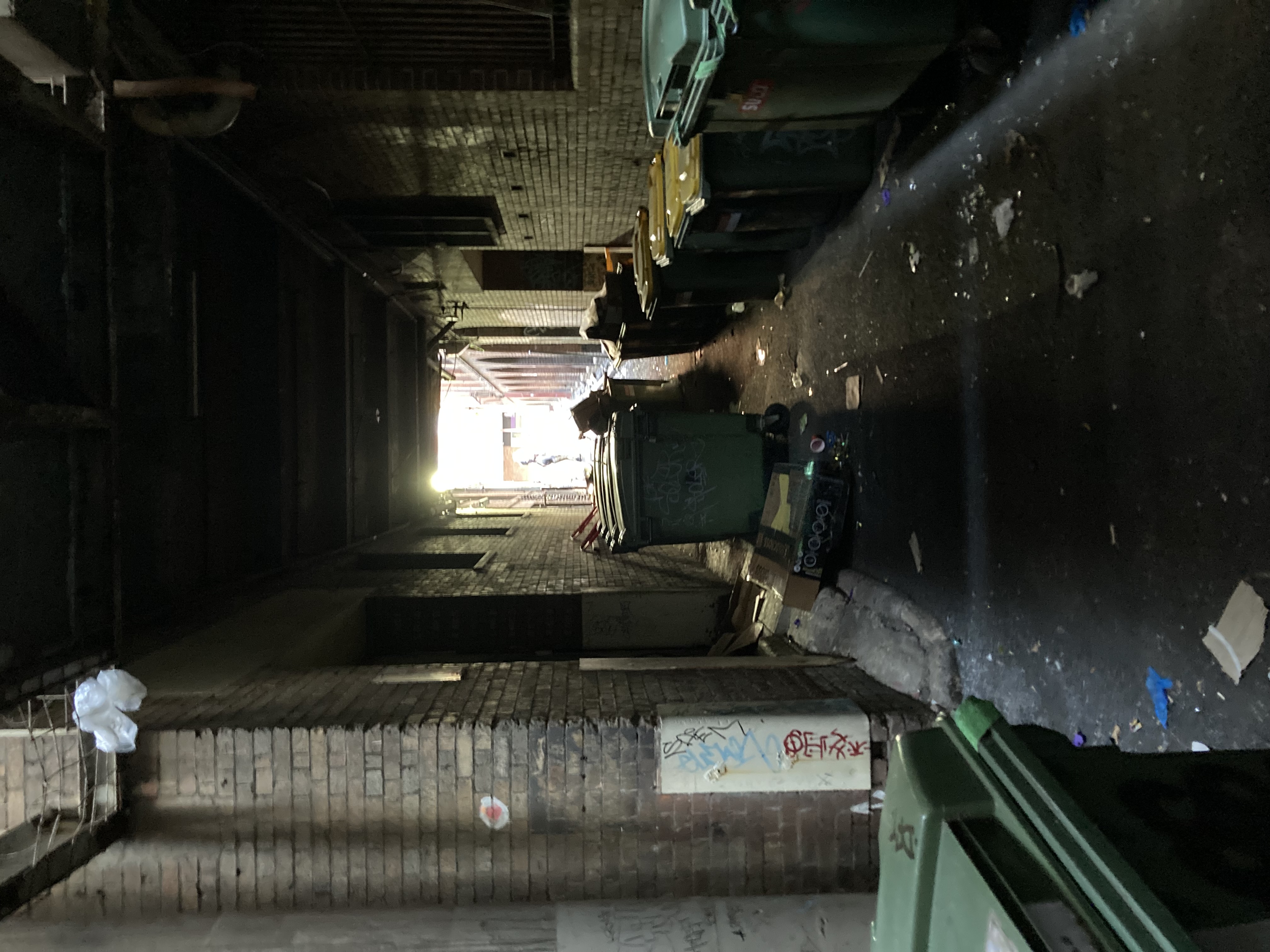 Rear of Overells Lane, facing towards Wickham Street. The area is shaded by an overhang, and the photo is dimly lit. A large number of rubbish bins and loose rubbish is across the lane. The surrounding buildings are made of brick.