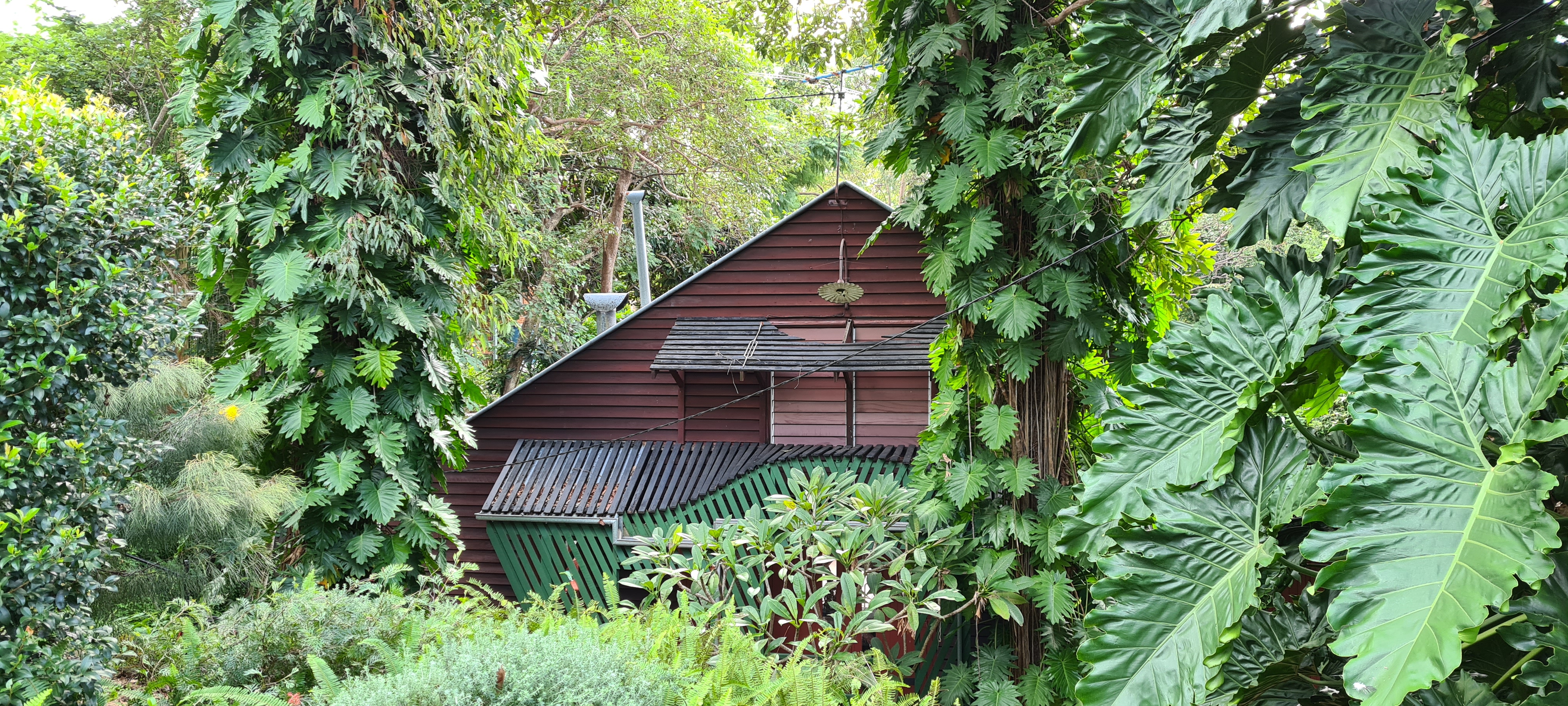 This is an image of the local heritage place known as Addison House No. 1.