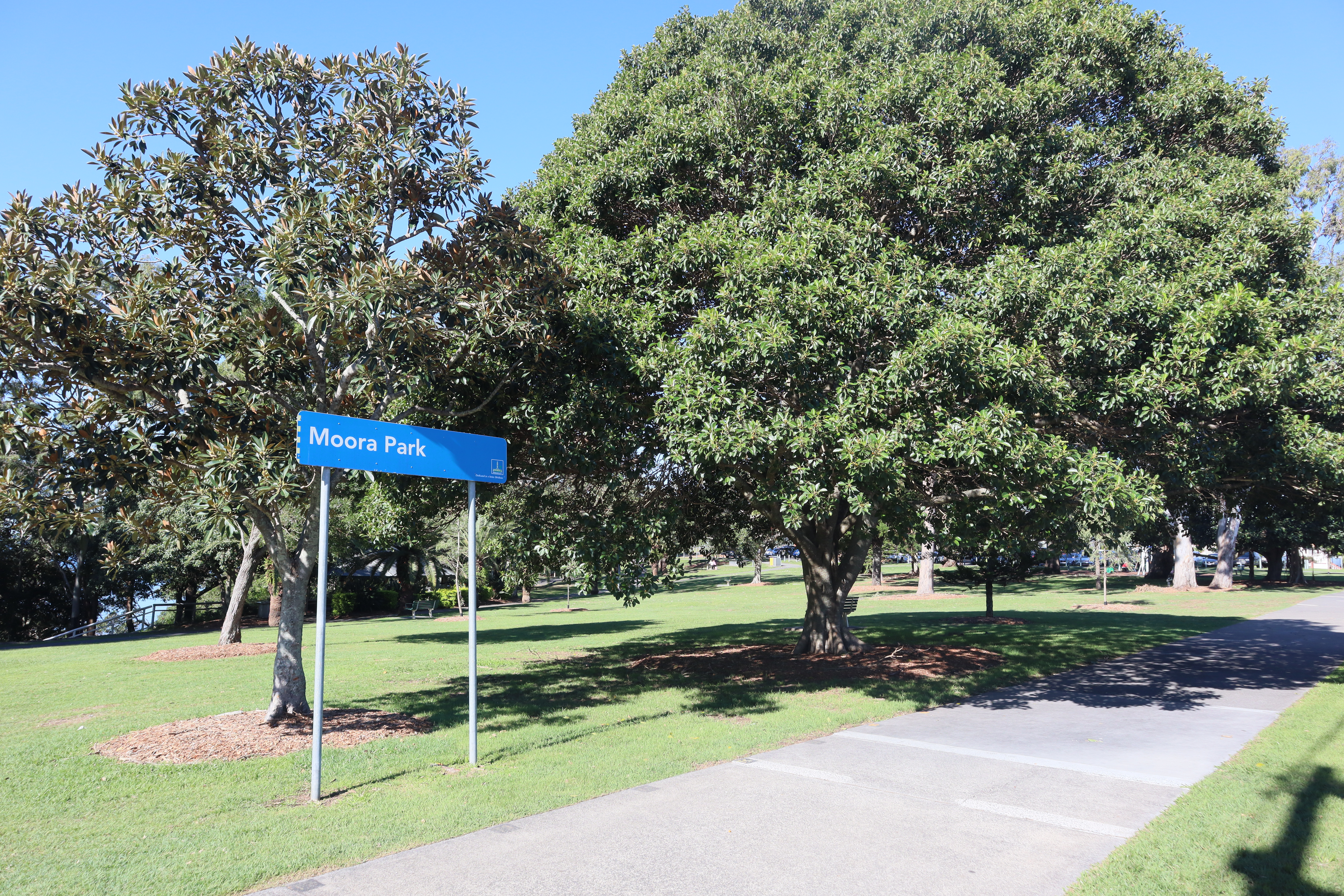 A sign in front of mature trees