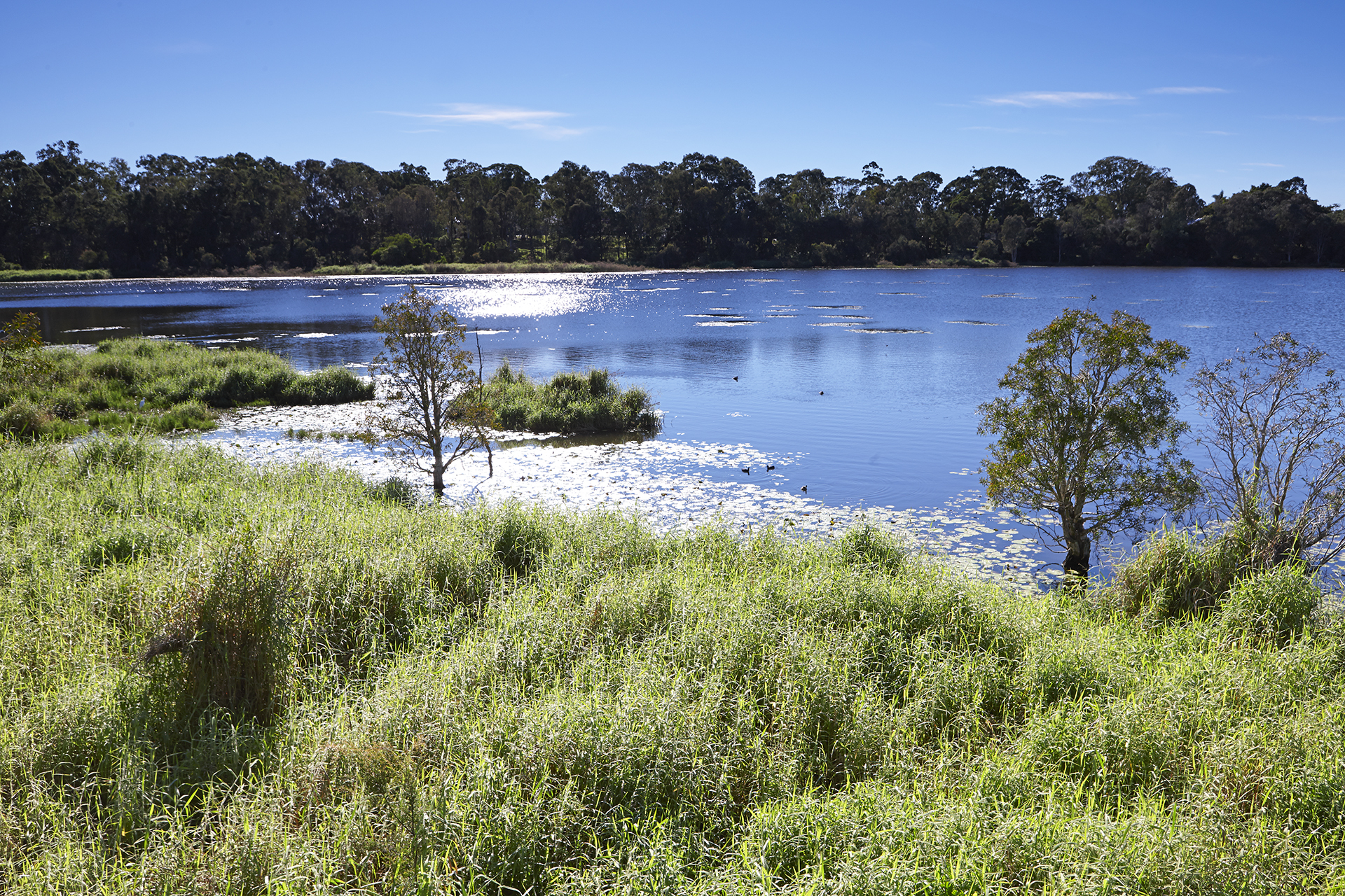 This is an image of the heritage place known as Dowse Lagoon