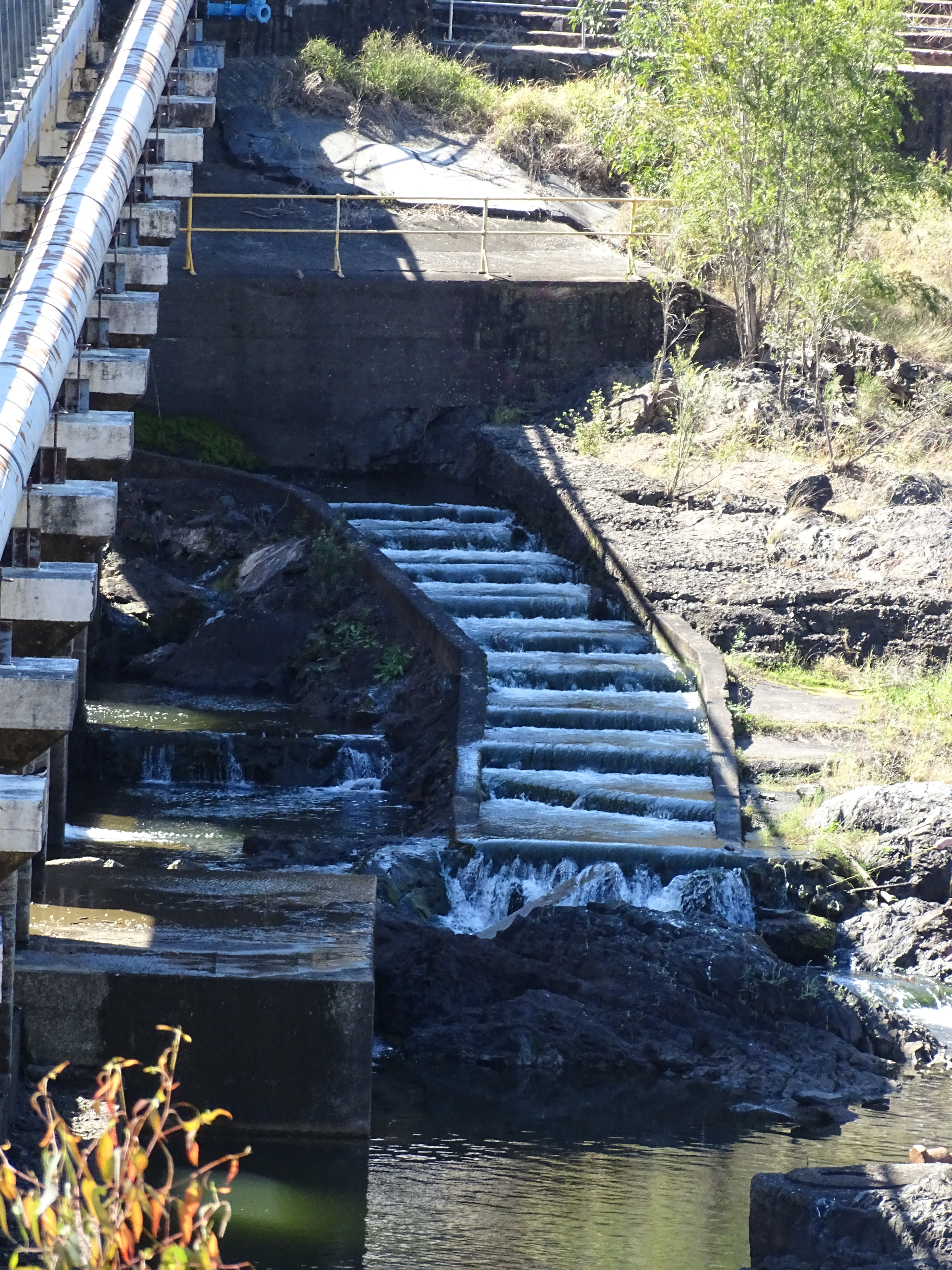 This is an image of the Fish Ladder, part of the local heritage place known as the Mt Crosby Weir & Old Bridge Foundations.