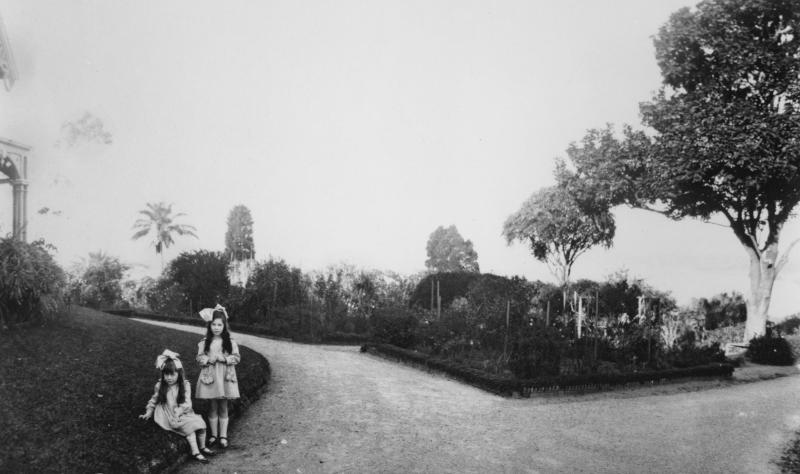 This is an image of 'Gardens of Eldernell in Hamilton, Brisbane', looking south from the front gates to the property.